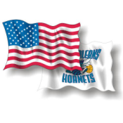 FLAGS & BANNERS